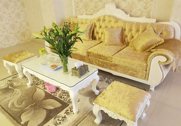 Ghế sofa cổ điển VNSF27