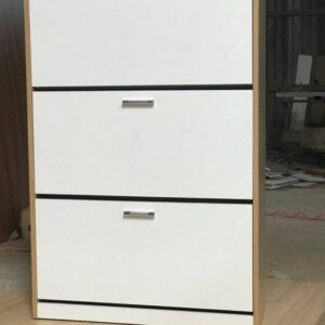 Alternative view of Tủ Giày Thông Minh VNTG51