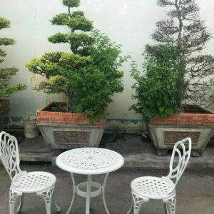 Alternative view of Bàn , ghế ban công VN - BBC06