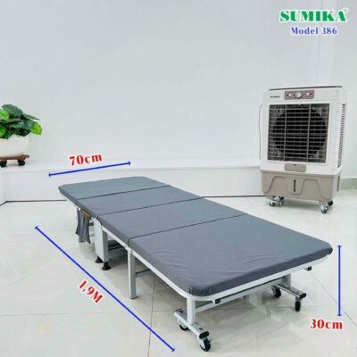 461295535 537943308776744 1039646735061528696 n