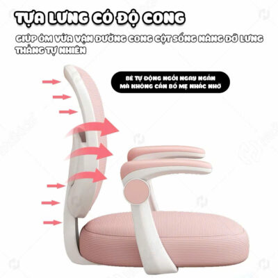 Ghế xoay học sinh chống gù VinaKids G15 11 z6503127891580 d03f4142a51c4432dc66f6379bd92294