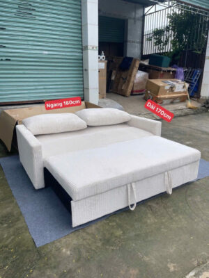 z6513662260158 ea1418e1a8575c7ac89c12019cbb86ad