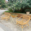 Bộ Bàn Ghế Mây Nhựa Vintage Ngoài Trời BN-T32