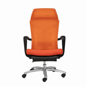 Ghế công thái học PV-M1103