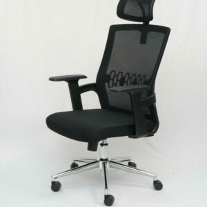 Ghế công thái học PV-TR829