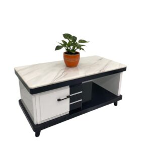 Bàn trà sofa phòng khách hiện đại mặt đá/mặt kính VN-BT102