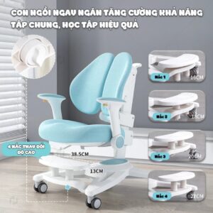 Ghế học sinh chống gù cao cấp Vinakids C010