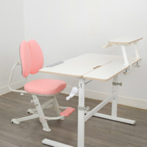 Bộ bàn ghế học sinh chống gù AngelKids 1003TT