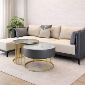 Ghế sofa phòng khách GSF-VN419