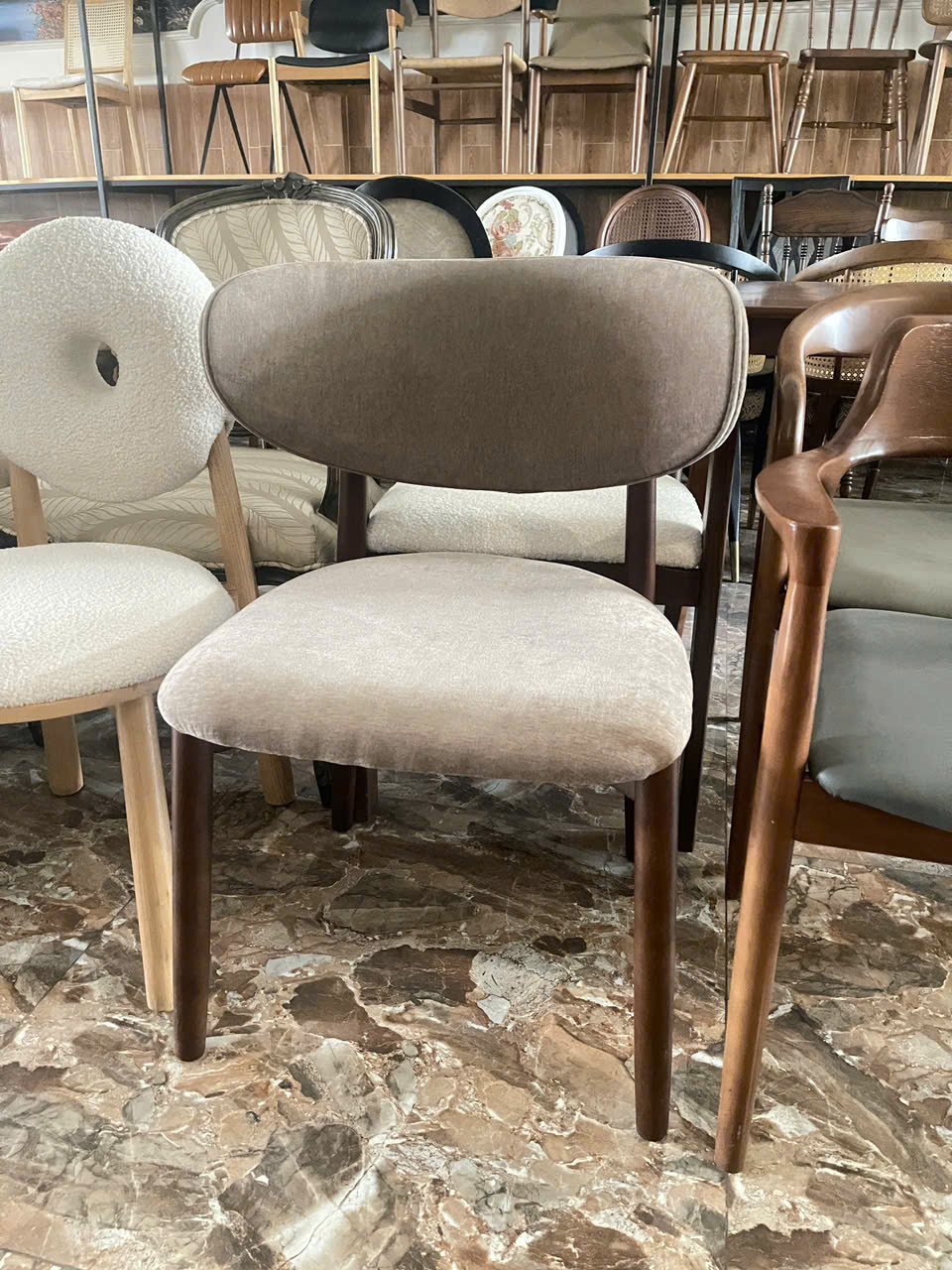 Ghế ăn, cafe chân gỗ có nệm VN-088KS 6 Ghế ăn, cafe chân gỗ có nệm VN-088KS - Ảnh 5