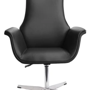 Ghế thư giãn TG-VN8170