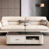 Bộ bàn ghế sofa phòng khách hiện đại VN-LP463 14 1783060602167 4542601636216770691 4542601636216770691 9621cc13561ac594f1bbda3f7cb8e5e9