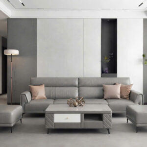 Bộ bàn ghế sofa phòng khách hiện đại VN-LP458